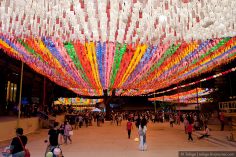 Фестиваль фонарей в Южной Корее