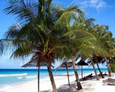Карибские пляжи Мексики