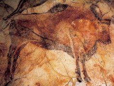 Самая известная пещера в Испании вновь открыта для спелеотуристов