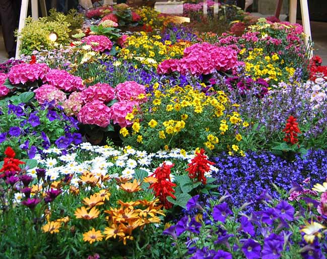 Праздник цветов в Жироне